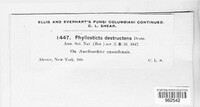 Image Associated With the Occurence